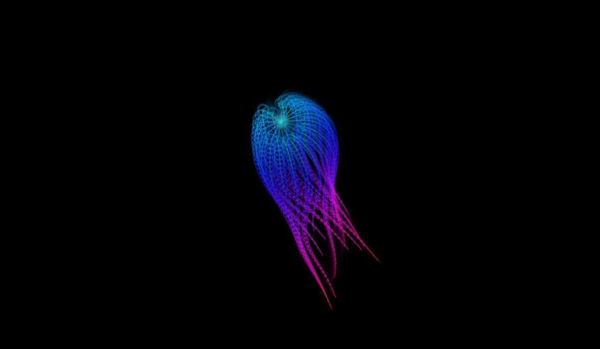 Squidematics Animation using HTML, CSS & JavaScript - Projects Image