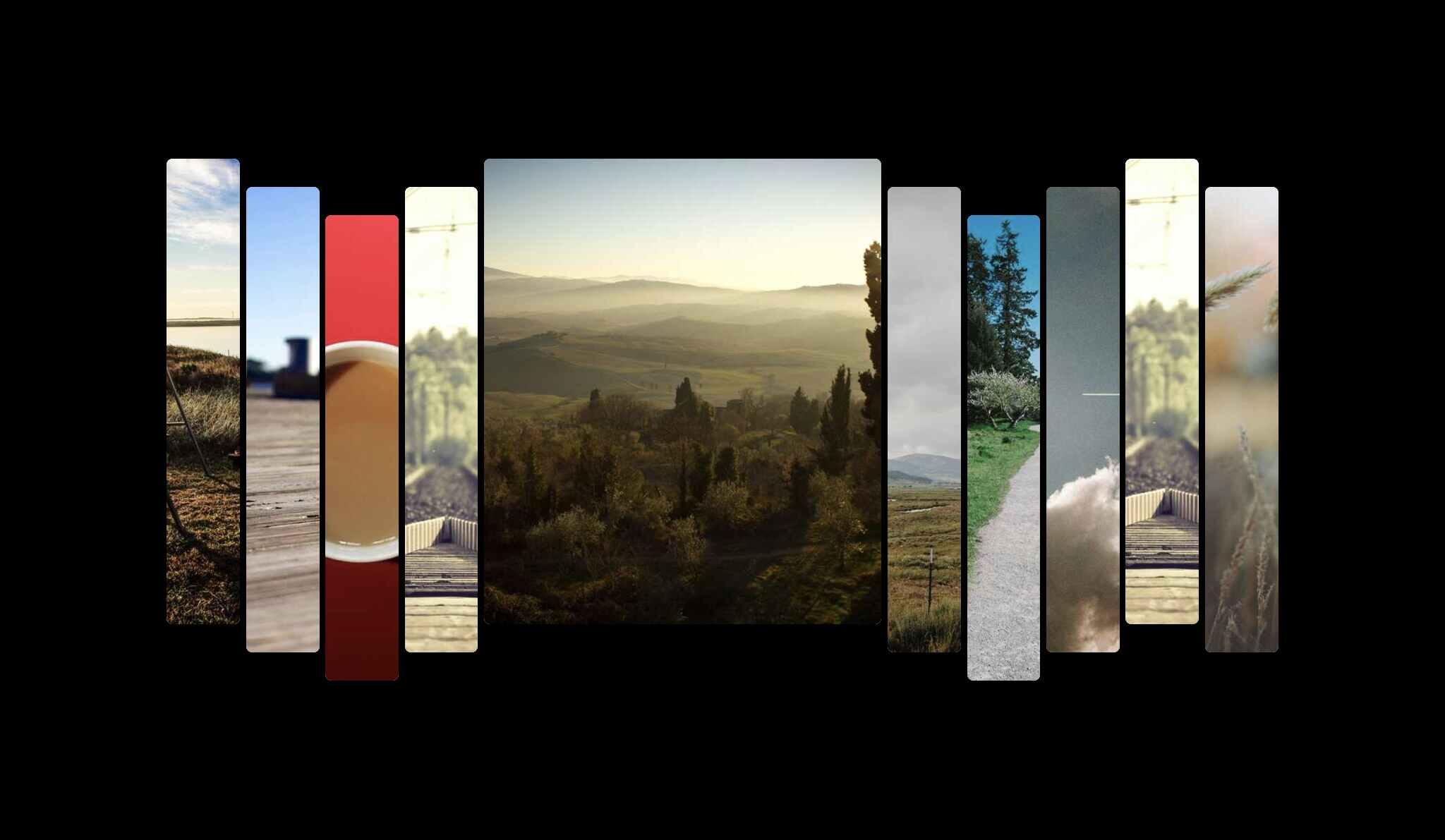Flex Expand on Hover Effect using HTML, CSS & JavaScript - Project Thumbnail