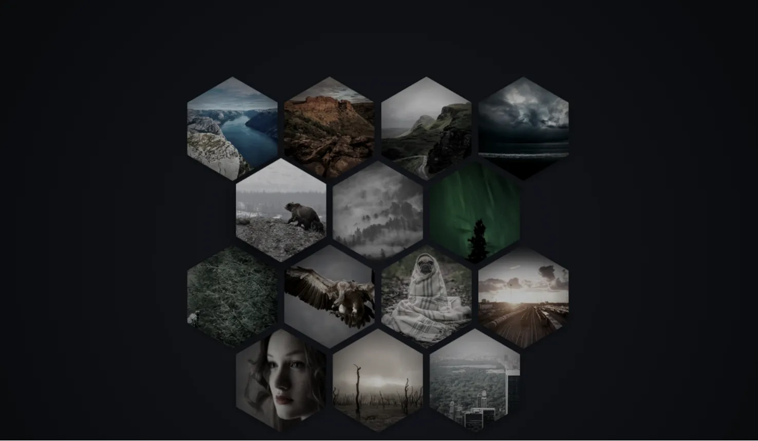 Interlocking Hexagon Grid Gallery: CSS CSS3 UI Layout - Project Thumbnail