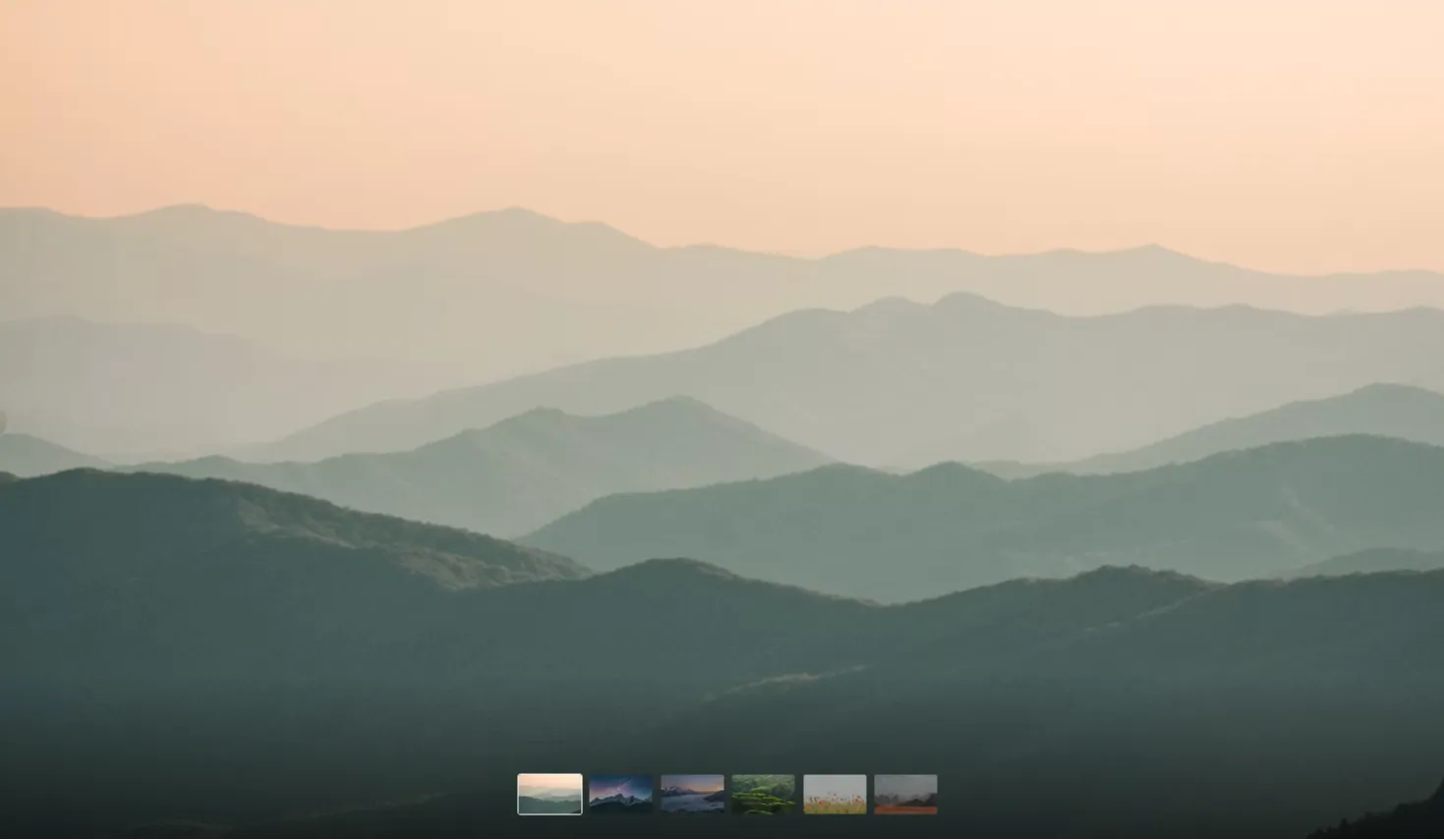 Morph Gallery: Interactive Fluid UI Display Component